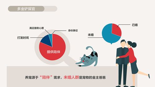 京东2018电商消费白皮书 解码15类典型电商消费人群，洞察消费升级新趋势